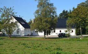 Vibes Bed&Breakfast